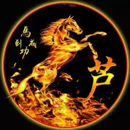 超霸气的马到成功火焰微信姓氏头像,喜欢的朋友抓紧领走你的姓氏
