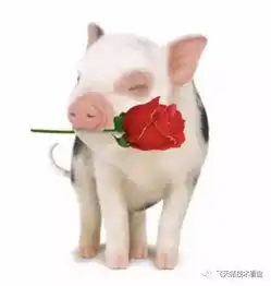 中线科技,短线军工
