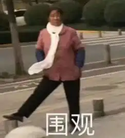 中国大妈又火了温哥华商场跳广场舞,堵车也跳广场舞,看呆老外这类人,求求您别出国了小视频
