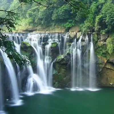 教师奖励审批表嘉奖样表模板
