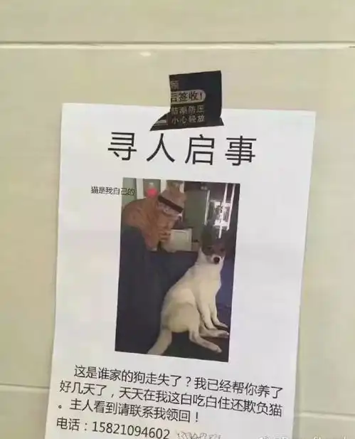 手机里让人笑崩的图片,哈哈哈哈哈哈哈笑skr人了
