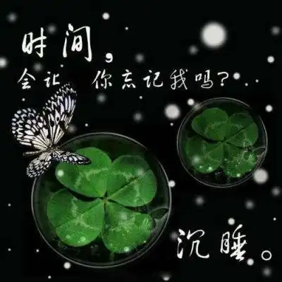 幸运草图片头像最漂亮的四叶草图片
