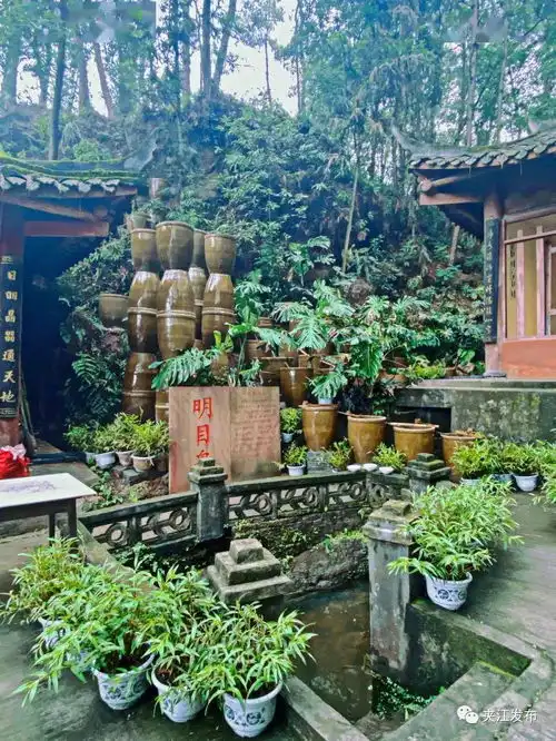 乐山人的佛系生活,从逛这10座寺庙开始
