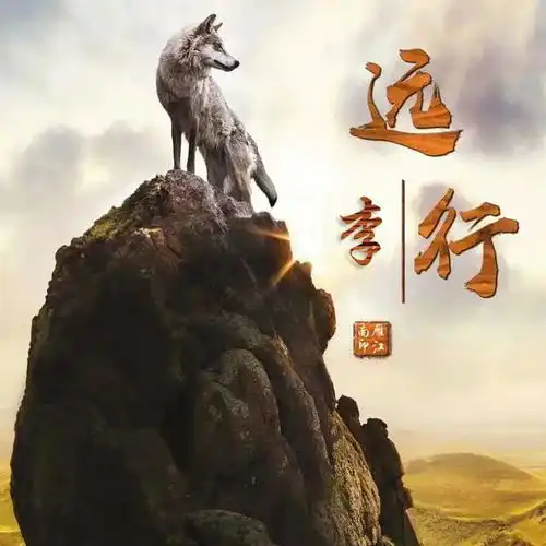 新的一年换个新头像吧30多张个性微信头像送给你,拿走不客气哈
