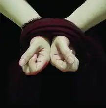 深圳美女重金体验被绑架花钱找罪受组图
