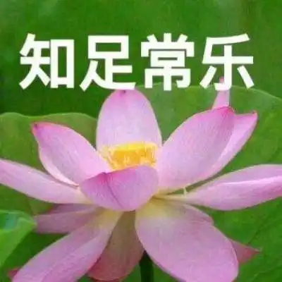 微信头像图片2020荷花带字系列荷花带字微信头像高清大全集
