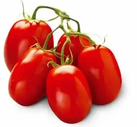 tomatoespng蔬菜大全png
