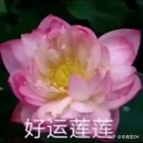 有哪些中老年女性适合的头像
