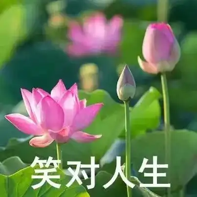 想开了,甚荷我意
