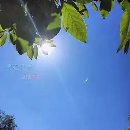 身在江湖另类阿学高音质在线试听身在江湖歌词歌曲下载酷狗音乐
