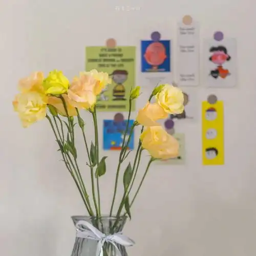 这些做微信头像太可了
