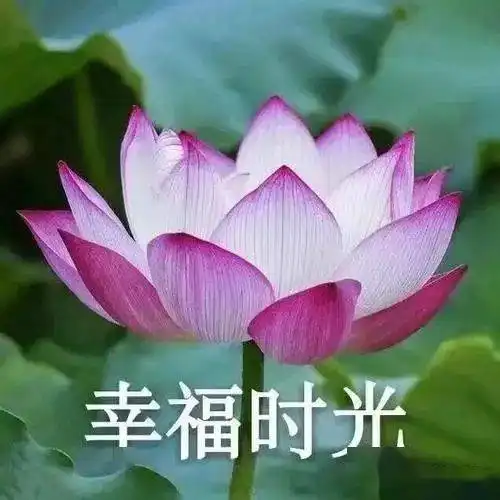 近日,忻州王哥又致信辽宁朋友

