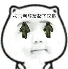 你被什么蒙蔽了双眼,被吉利服蒙蔽了双眼
