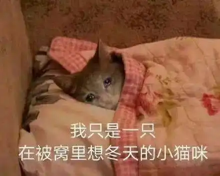 天冷了,也不要忘了运动哟
