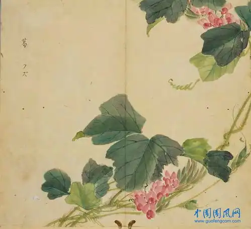 诗经讲堂国风葛覃
