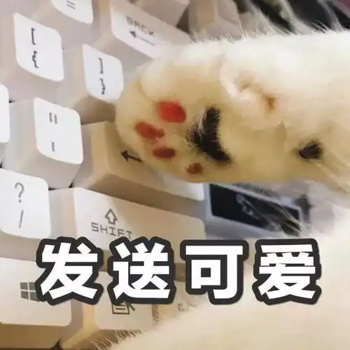 节目预告前方多才男主出没
