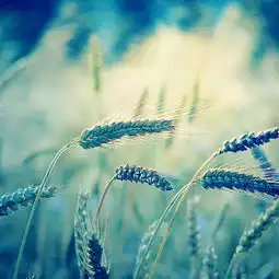 那些绝美的句子,你懂吗
