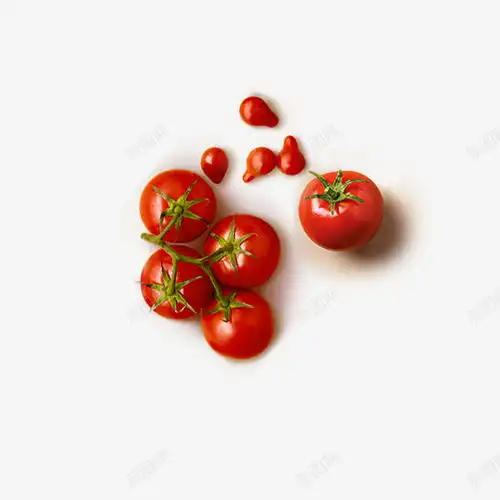西红柿蔬菜水果美食高清素材广场设计图片免费下载页面网页平面电商创意素材png素材素材
