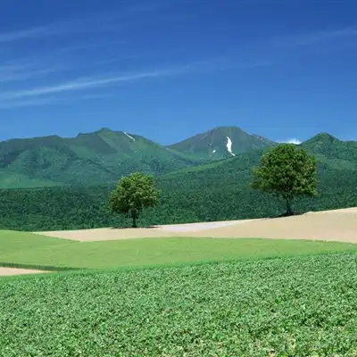 绿色风景头像最美北海道风光18张
