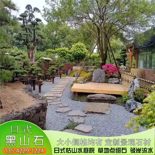 黑山羊苗报价厂家
