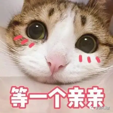 2018年度汉字大盘点丨哪些是你常用的词语呢
