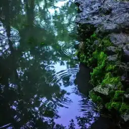 懂,是世界上最温情的语言
