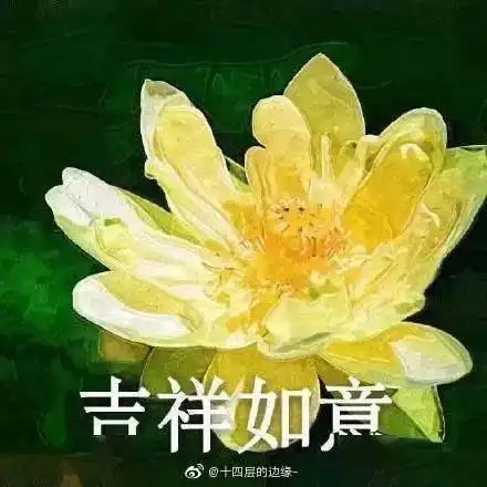 2020上半年总结
