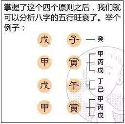 漫画算命系列之定旺衰
