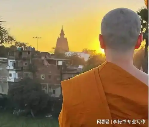 从秃头开光到佛系躺平论娱乐圈失意男星的另类洗白之路
