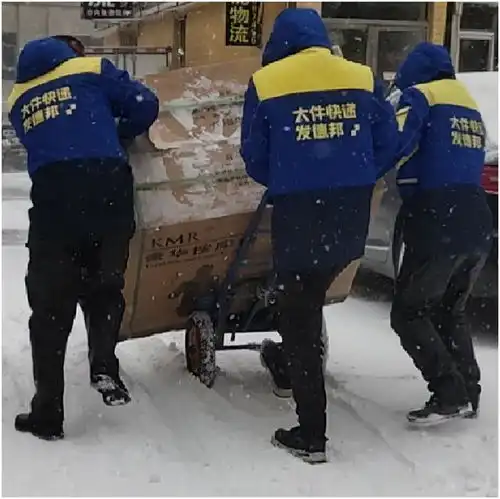 暴雪中的逆行者坚持送货上门,为德邦快递小哥点赞
