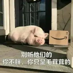 我们不一样猪猪or佛系你属于哪个阵营
