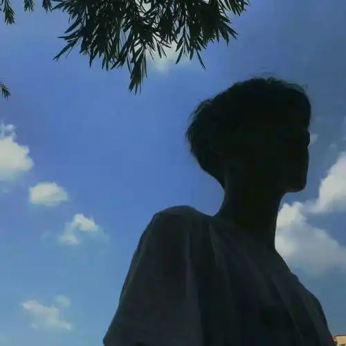 怎么办我好像还有这些事没有完成
