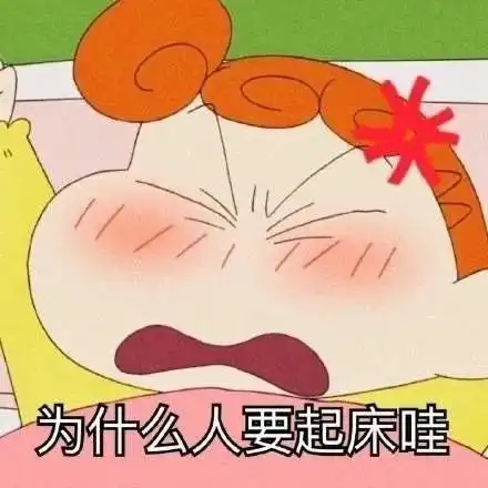 表情包为什么人要起床哇
