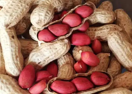 常吃花生,或会收获5个好处,医生花生虽好,两类人尽量少吃

