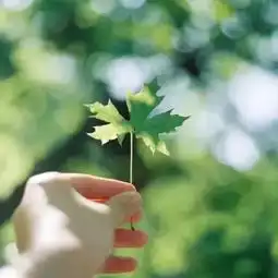 因为刚好遇见你
