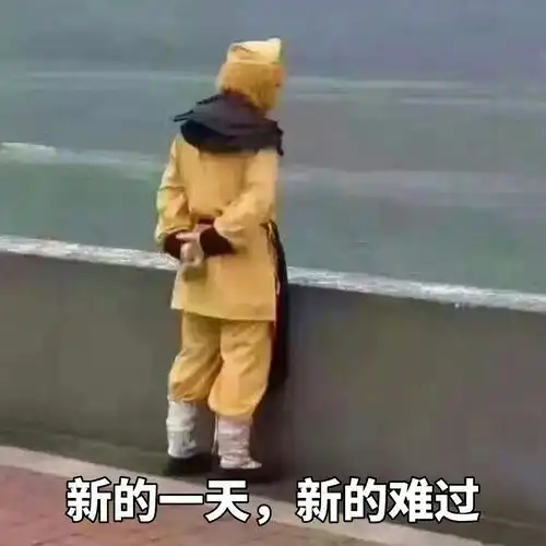 室友天天看快手
