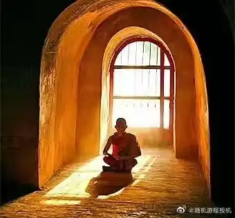 当人类放弃大脑思想后会是什么情况
