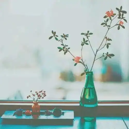 牛座会对爱情敷衍吗
