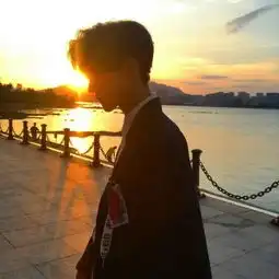 像旧巷子里的猫,我很自由,但没有归宿
