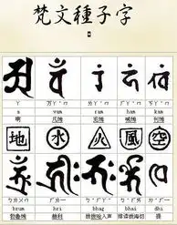 种子字
