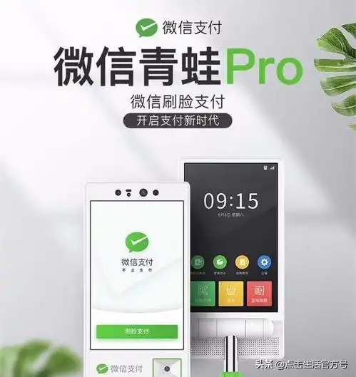 首发上线点击生活微信青蛙pro独立收银上线啦
