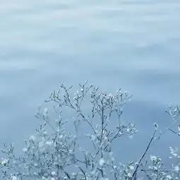 water心语人缘说起来很奇怪,就像墙上面长着的野草,风往哪边刮,它就往哪边跑人缘不好,其实有时候只说明你吹出来的风不够大搜狐文化搜狐网
