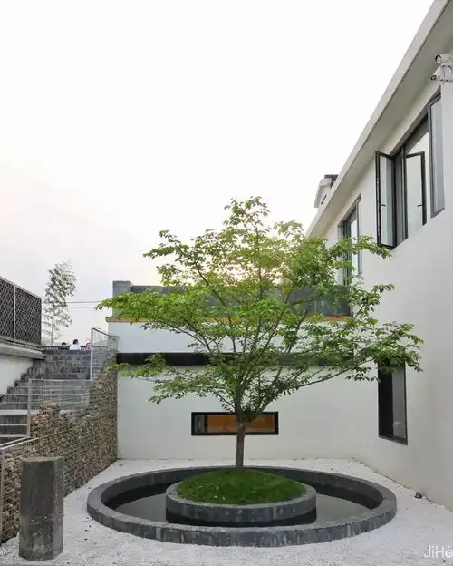 杭州0.5h车程,这家酒店泳池养生素食让你佛系避暑,还能听禅品茶栖心
