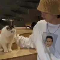 众人皆归我武神
