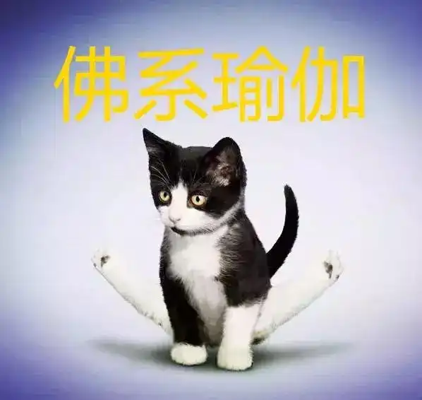 佛系瑜伽,90后练瑜伽不出家,我还没死爱谁谁吧
