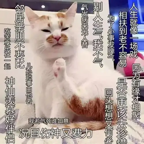 苏州人佛系生活指南
