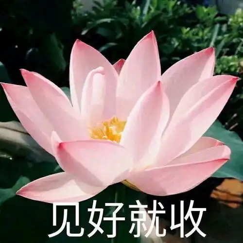 如何屏蔽微信头像不让父母看见
