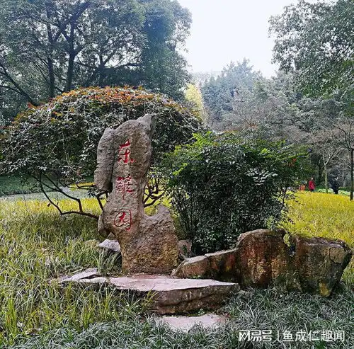 重庆一景点火了,耗资建造历史悠久,地铁直达门票免费
