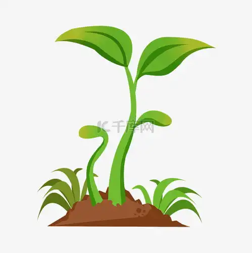 播种种子发芽素材图片免费下载千库网
