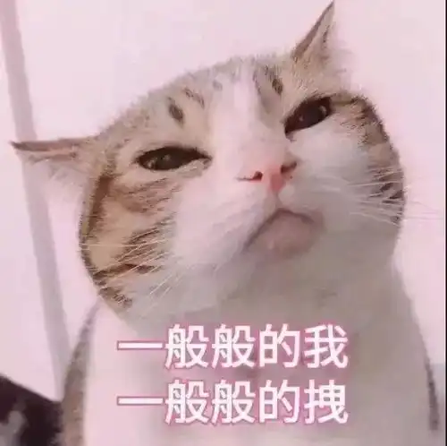 佛系少女价值观
